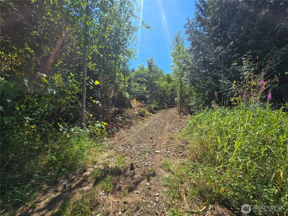 0 0 Highland Valley Road Morton, WA 98356
