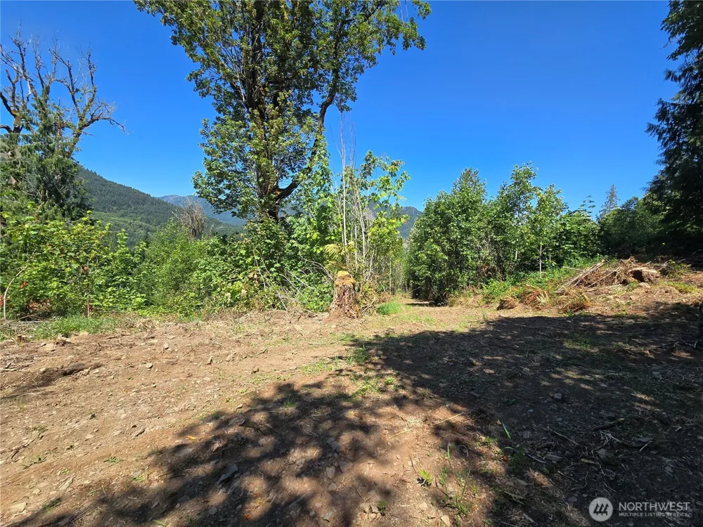 0 0 Highland Valley Road Morton, WA 98356
