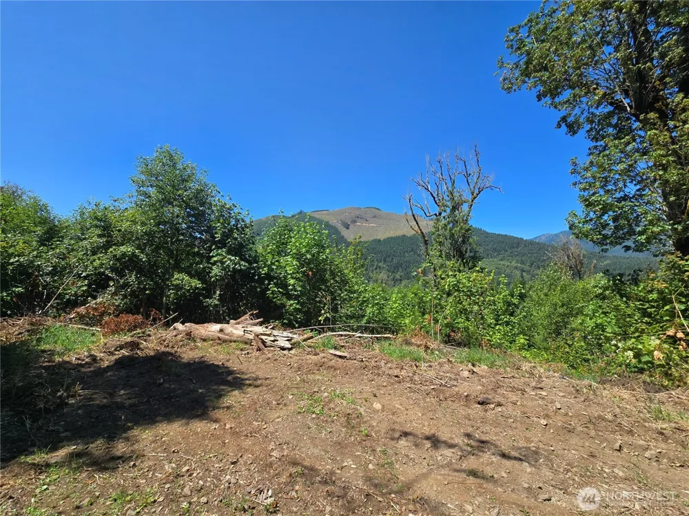 0 0 Highland Valley Road Morton, WA 98356