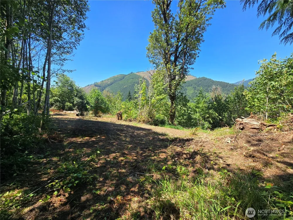 0 0 Highland Valley Road Morton, WA 98356