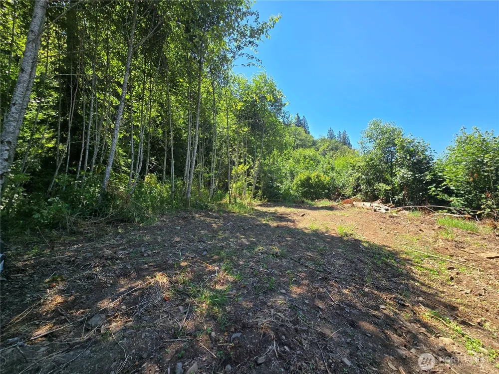 0 0 Highland Valley Road Morton, WA 98356