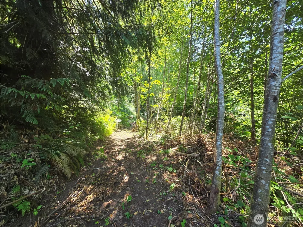0 0 Highland Valley Road Morton, WA 98356