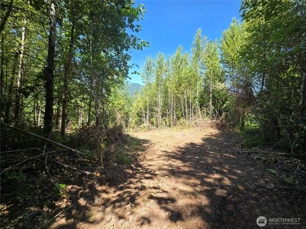 0 0 Highland Valley Road Morton, WA 98356