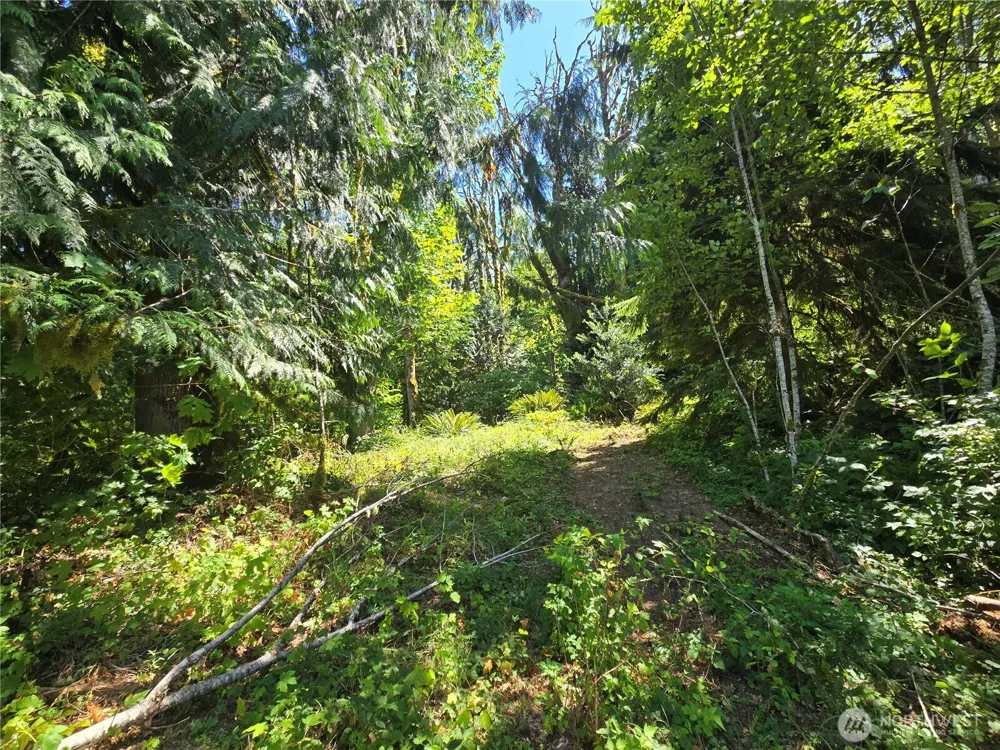 0 0 Highland Valley Road Morton, WA 98356