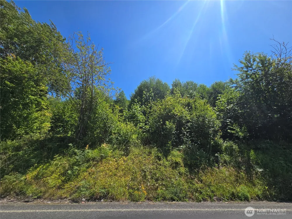 0 0 Highland Valley Road Morton, WA 98356
