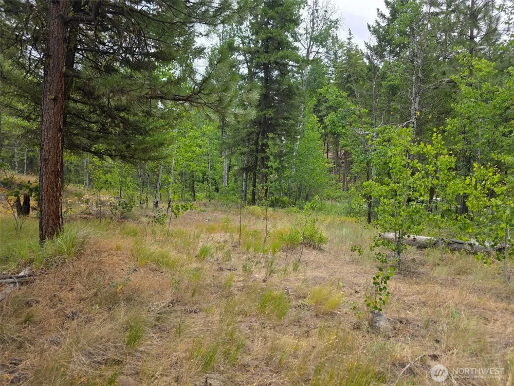 25 Outback Road Oroville, WA 98844