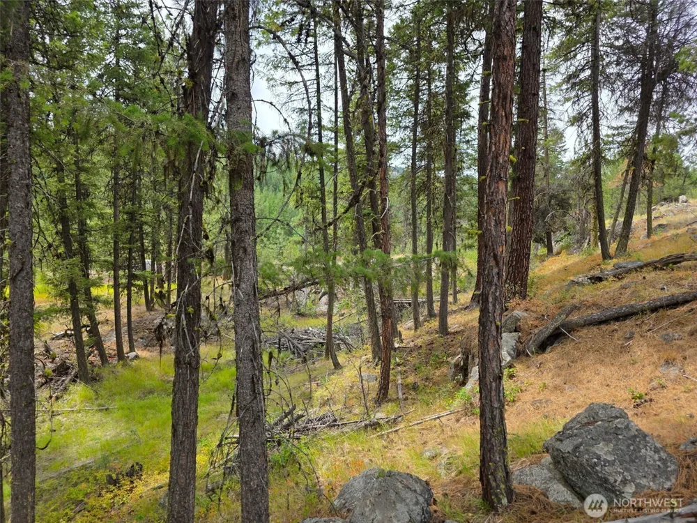 25 Outback Road Oroville, WA 98844