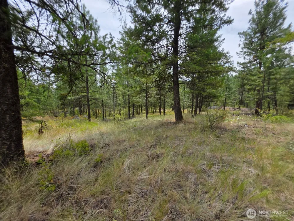 25 Outback Road Oroville, WA 98844