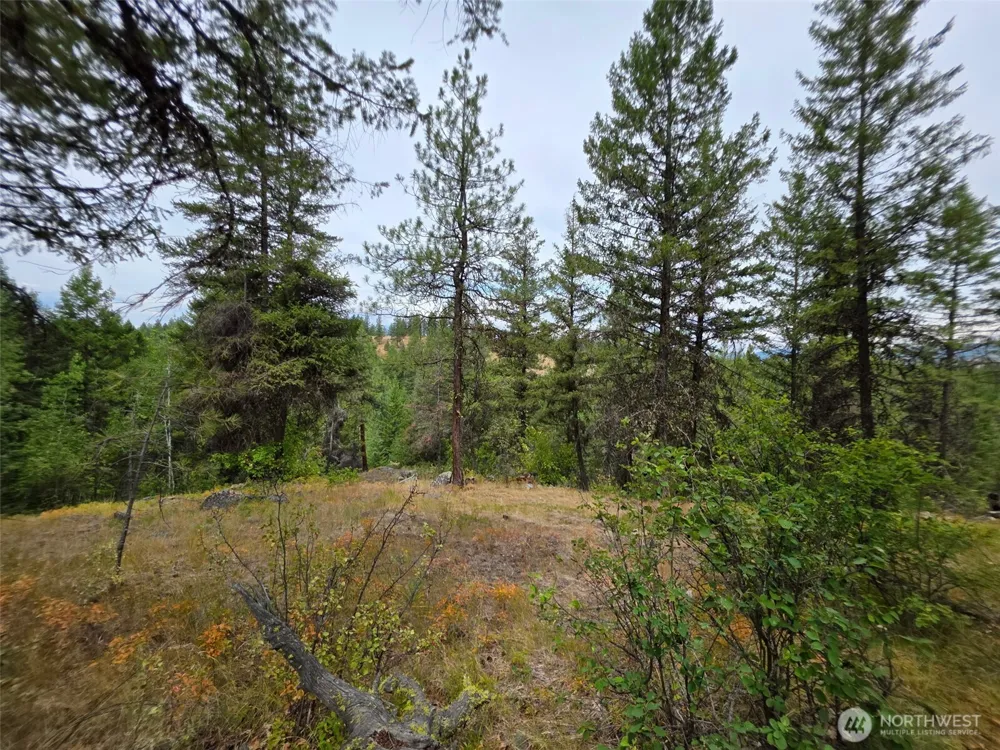 25 Outback Road Oroville, WA 98844