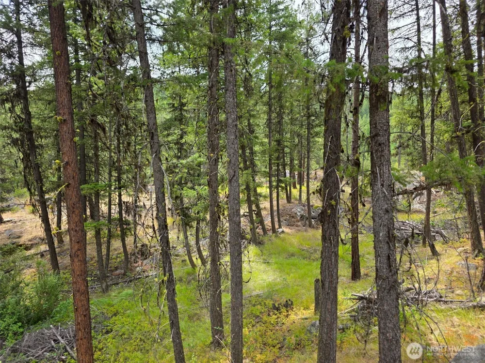25 Outback Road Oroville, WA 98844