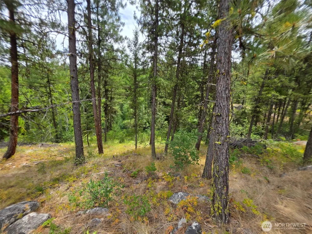 25 Outback Road Oroville, WA 98844