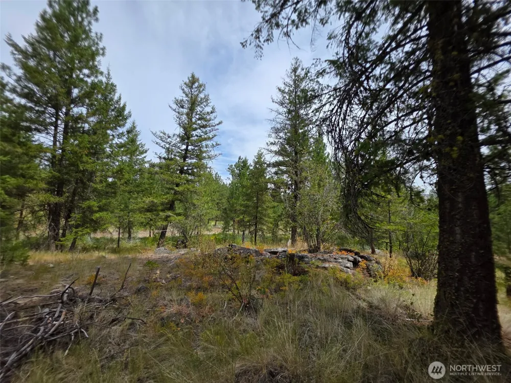 25 Outback Road Oroville, WA 98844