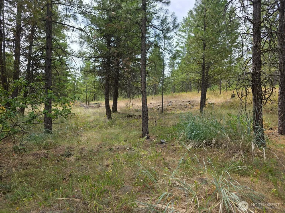 25 Outback Road Oroville, WA 98844