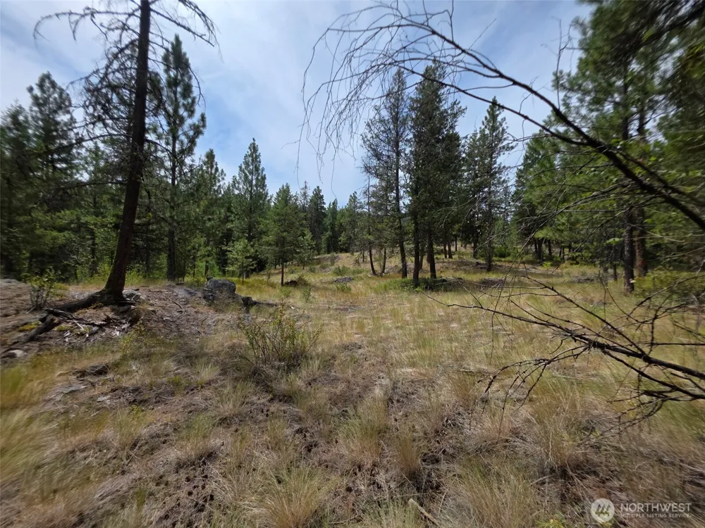 25 Outback Road Oroville, WA 98844