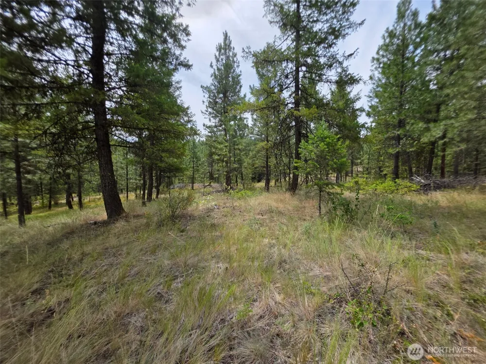 25 Outback Road Oroville, WA 98844