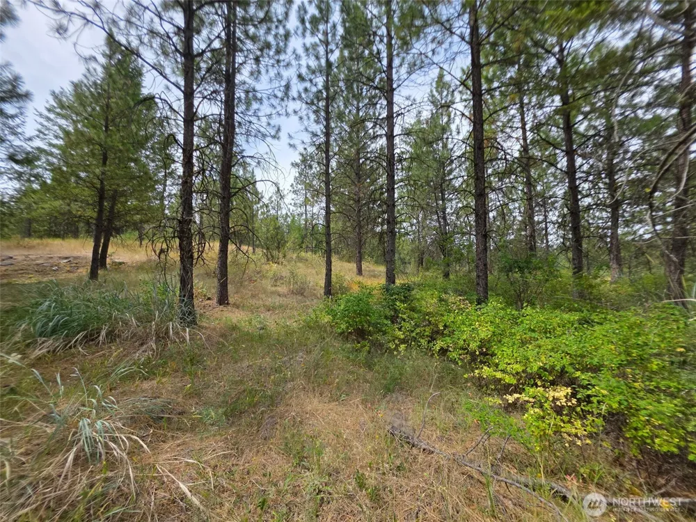 25 Outback Road Oroville, WA 98844