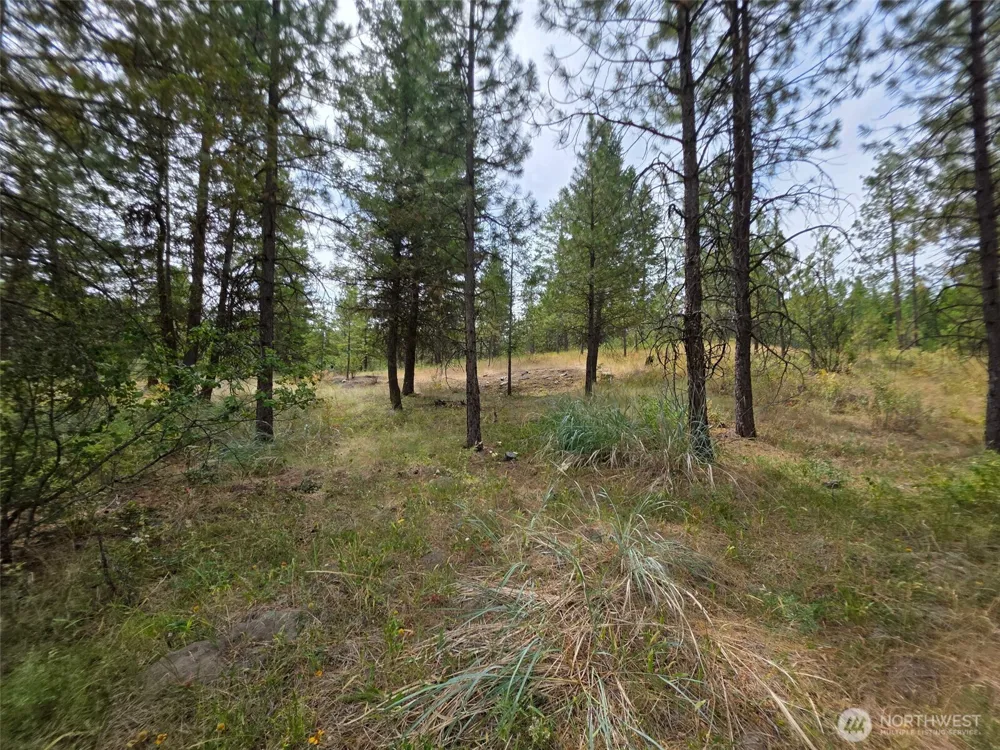 25 Outback Road Oroville, WA 98844