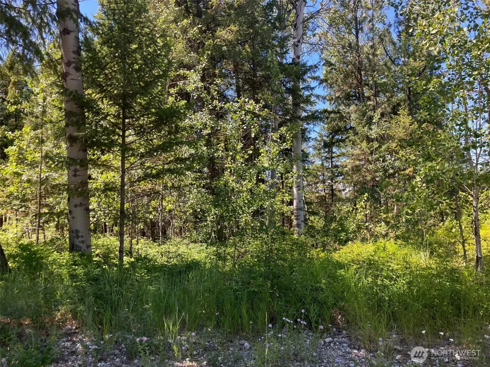 25 Outback Road Oroville, WA 98844