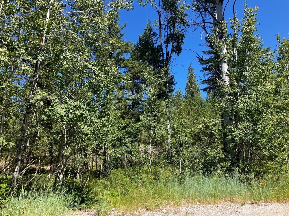 25 Outback Road Oroville, WA 98844