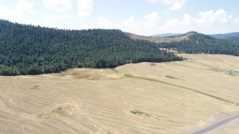 LOT 4 Pebblestone Drive Plummer, ID 83851