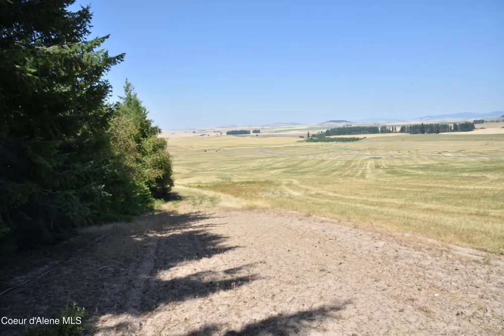 LOT 4 Pebblestone Drive Plummer, ID 83851