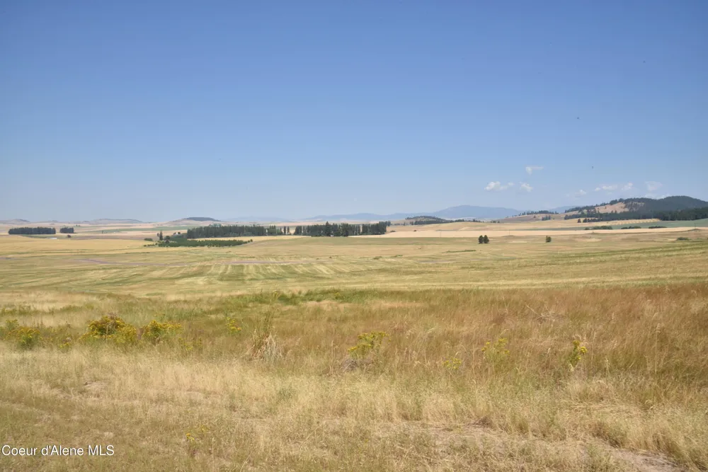 LOT 4 Pebblestone Drive Plummer, ID 83851