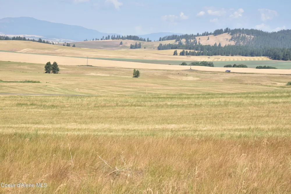 LOT 4 Pebblestone Drive Plummer, ID 83851