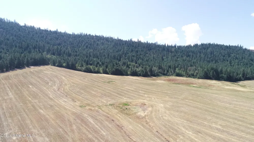 LOT 4 Pebblestone Drive Plummer, ID 83851