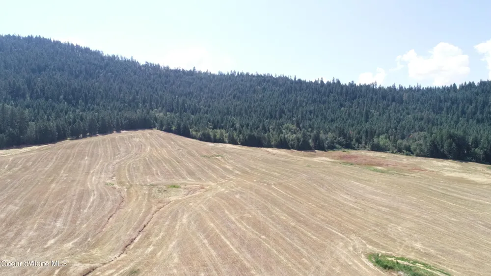 LOT 4 Pebblestone Drive Plummer, ID 83851