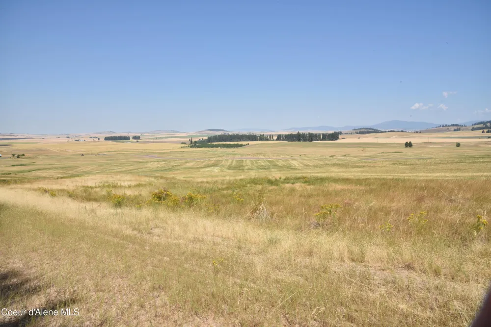 LOT 4 Pebblestone Drive Plummer, ID 83851