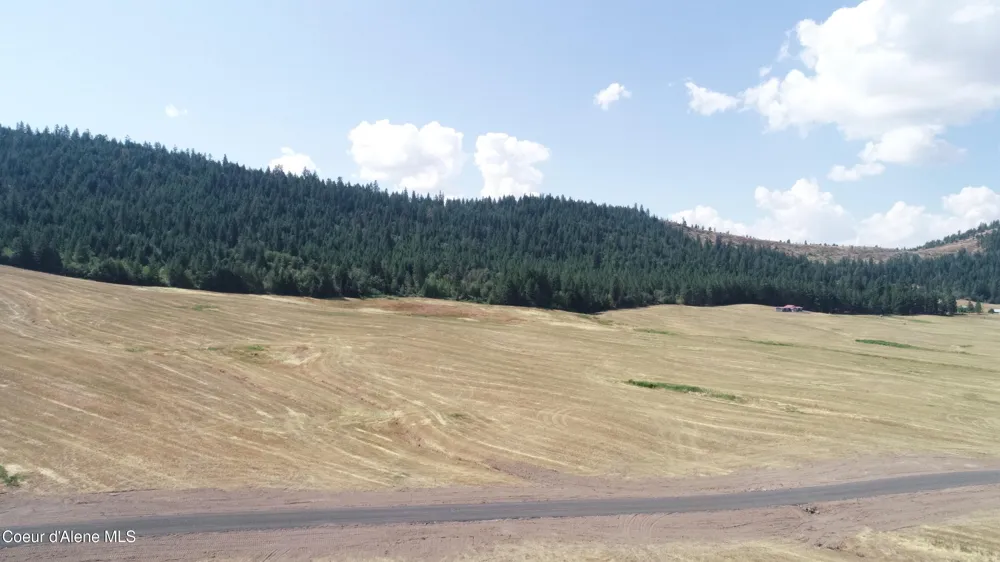 LOT 4 Pebblestone Drive Plummer, ID 83851