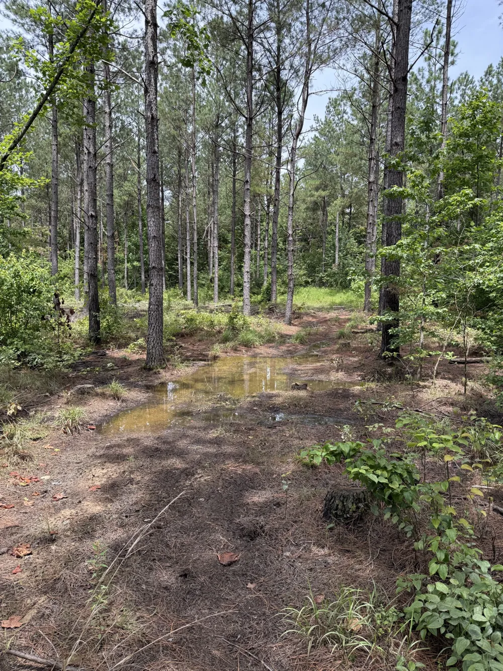 0 Spokelay Rd Spencer, TN 38585