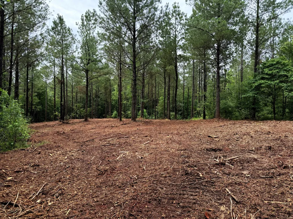 0 Spokelay Rd Spencer, TN 38585