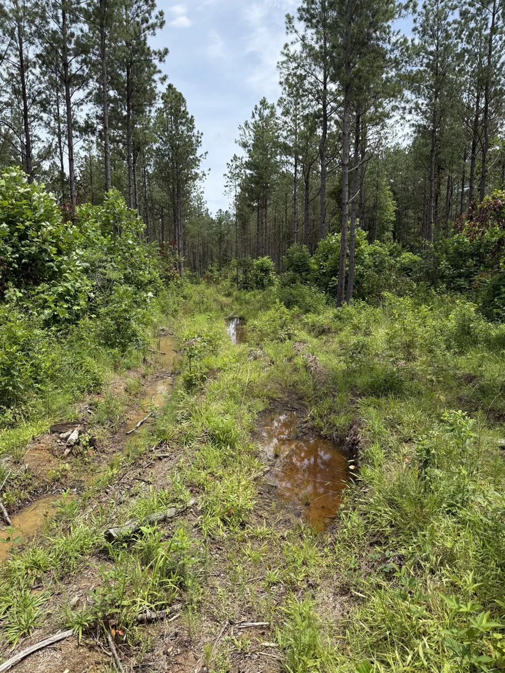 0 Spokelay Rd Spencer, TN 38585