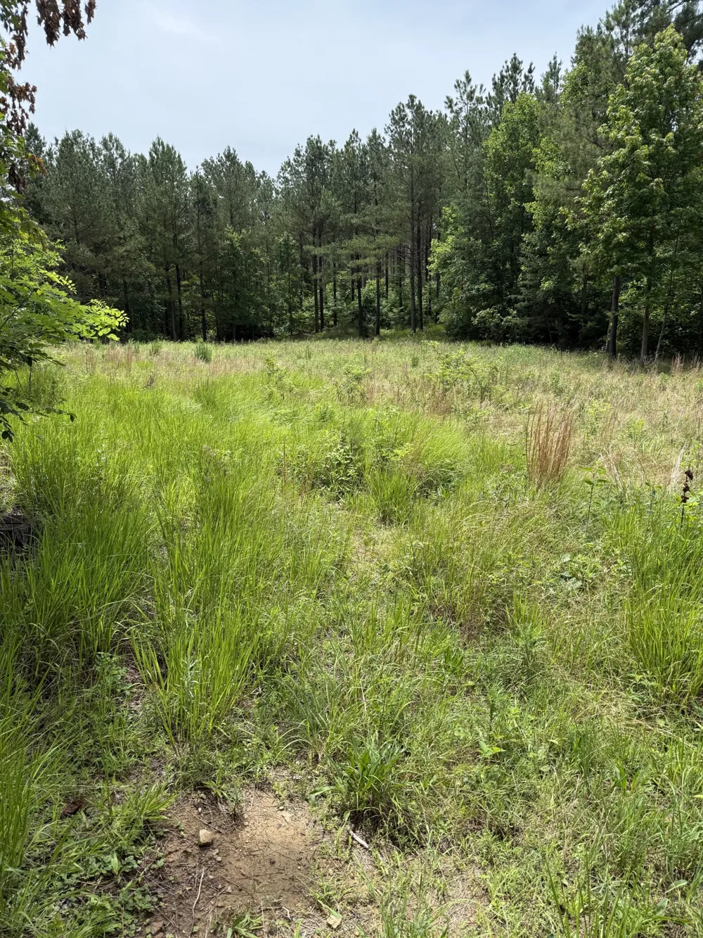 0 Spokelay Rd Spencer, TN 38585