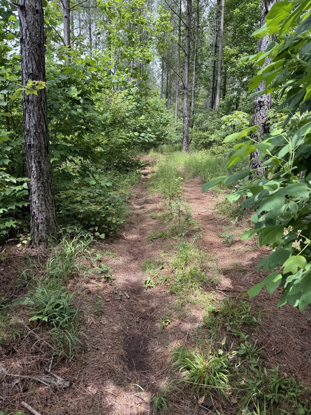0 Spokelay Rd Spencer, TN 38585