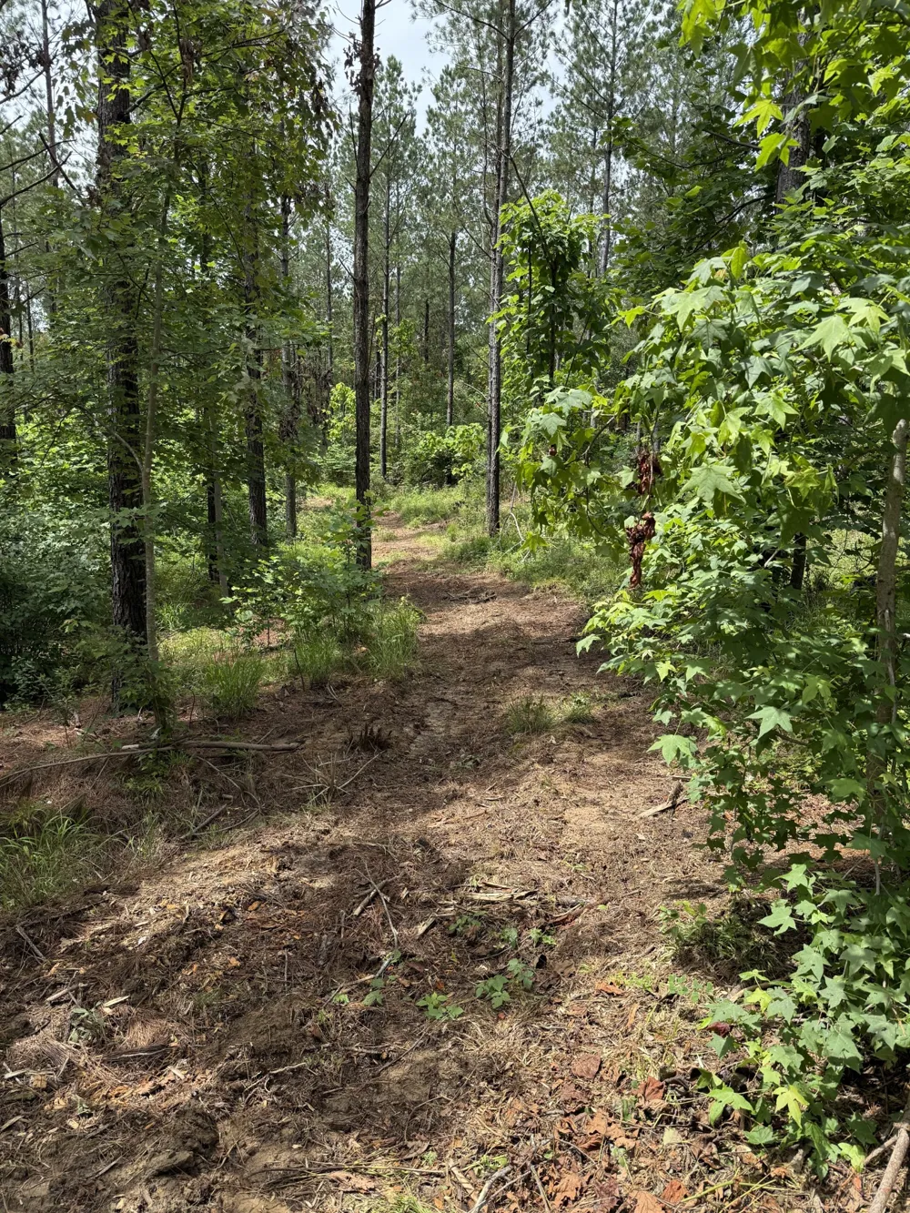 0 Spokelay Rd Spencer, TN 38585