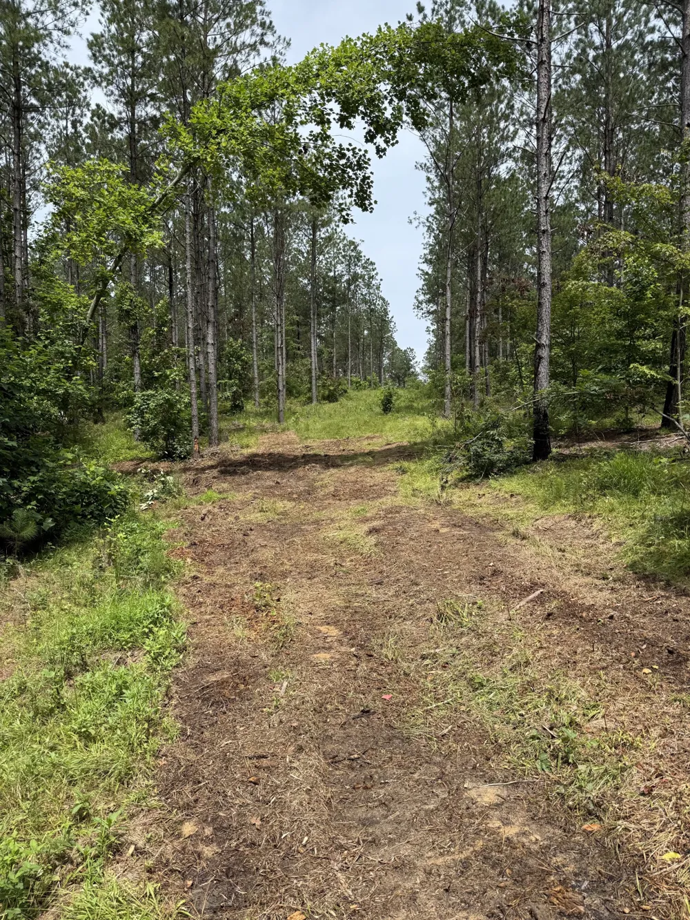 0 Spokelay Rd Spencer, TN 38585
