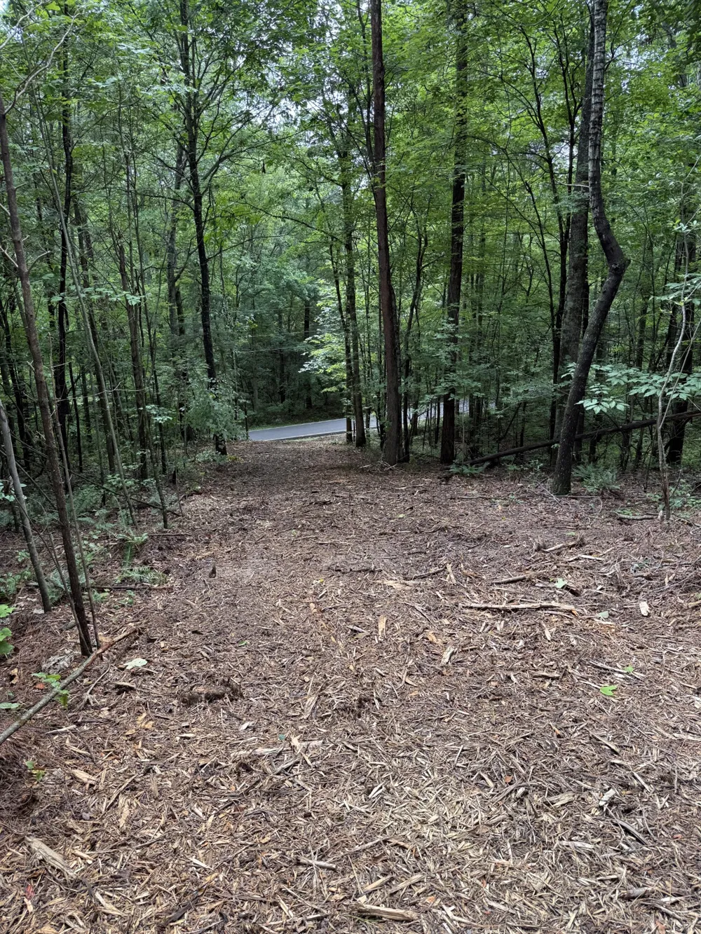 0 Spokelay Rd Spencer, TN 38585