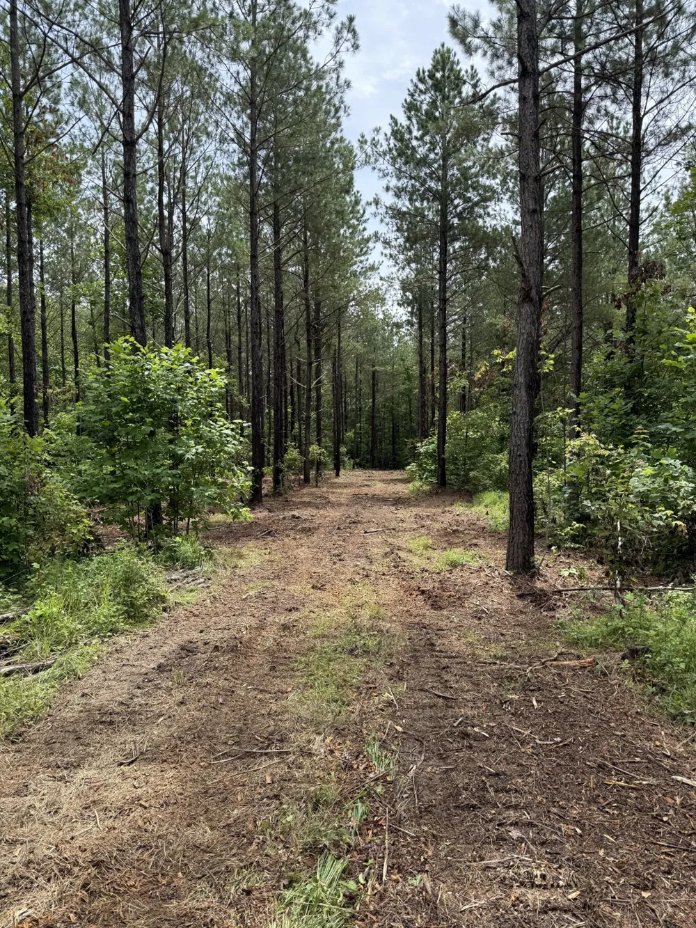 0 Spokelay Rd Spencer, TN 38585