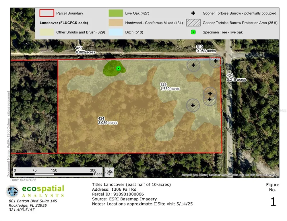 1306 PELL ROAD Osteen, FL 32764