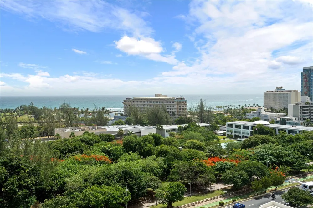 540 DE LA CONSTITUCION AVENUE #1202 San Juan, PR 00901
