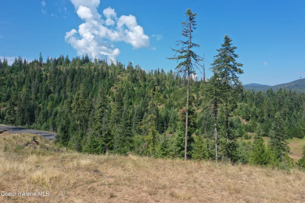 NKA Parcel 1 Patriot's Paradise Fernwood, ID 83830