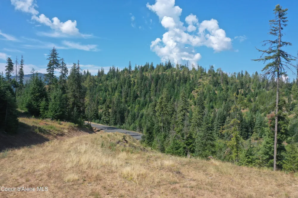 NKA Parcel 1 Patriot's Paradise Fernwood, ID 83830