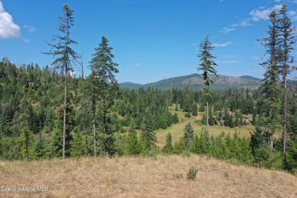 NKA Parcel 1 Patriot's Paradise Fernwood, ID 83830