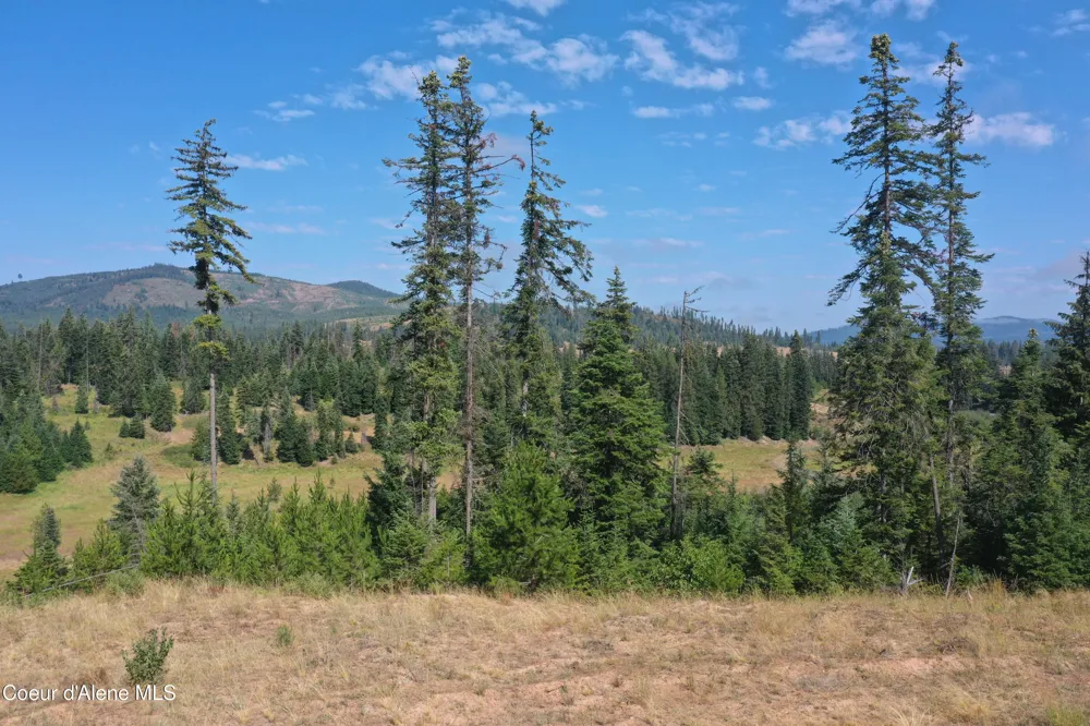 NKA Parcel 1 Patriot's Paradise Fernwood, ID 83830