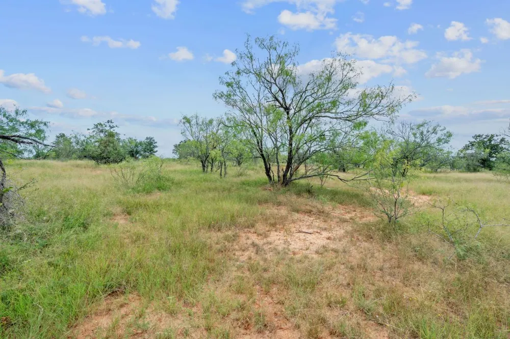 3597 Baker Road Kingsbury, TX 78638