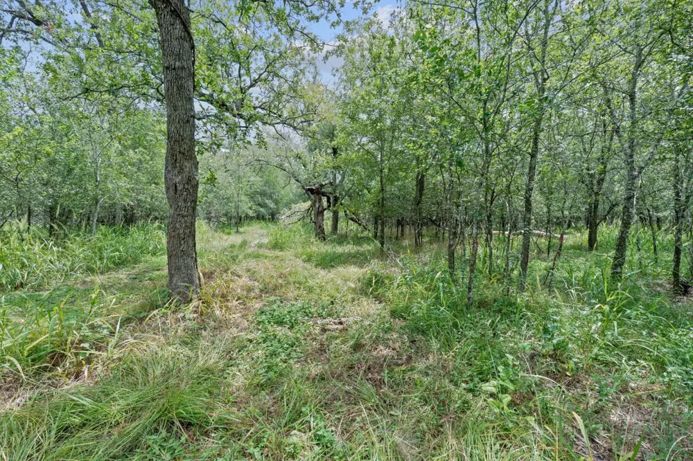 3597 Baker Road Kingsbury, TX 78638