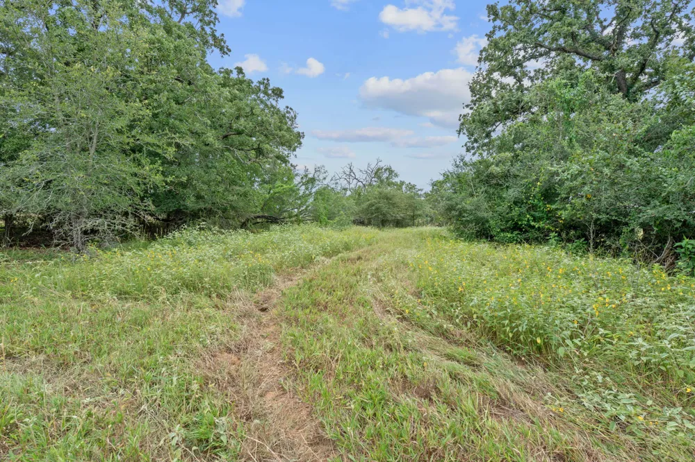 3597 Baker Road Kingsbury, TX 78638