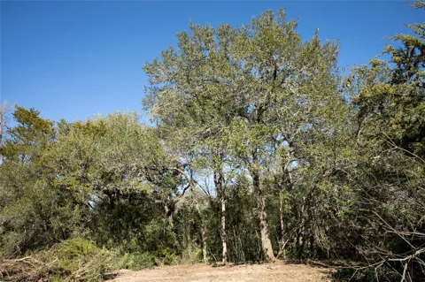 Fm 594